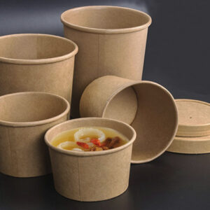 Bagasse packaging