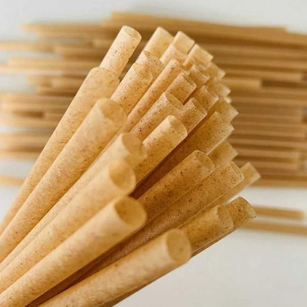 BAGGASE STRAWS